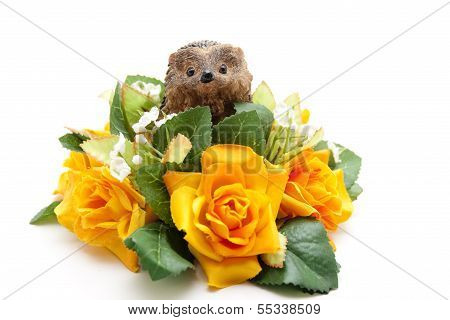 Orange Flowers with Green Sheets and Hedgehog on white background