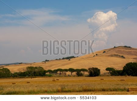 Landschap