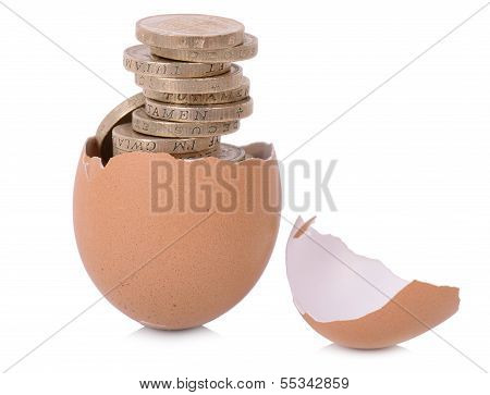 New Nest Egg