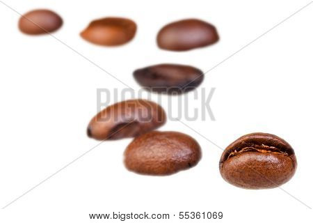 Curve Line Pattern From Roasted Coffee Beans