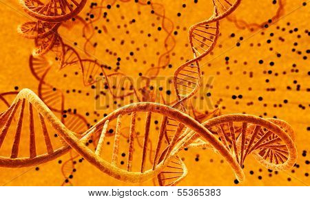 DNA with infected cells
