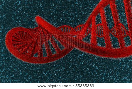 DNA in red