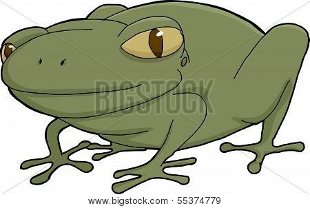 Cute Cartoon Frog