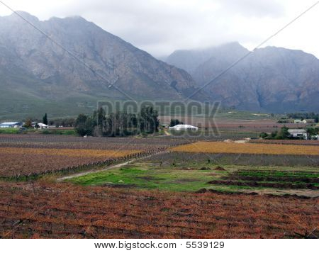 Valle de invierno de Misty