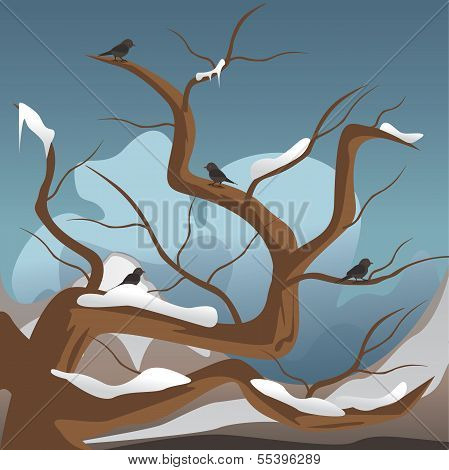 Winter Landscape