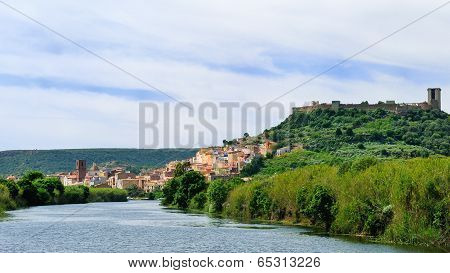 Bosa