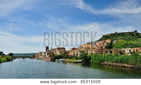 Bosa