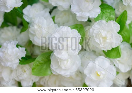 Fabric Arabian Jasmine