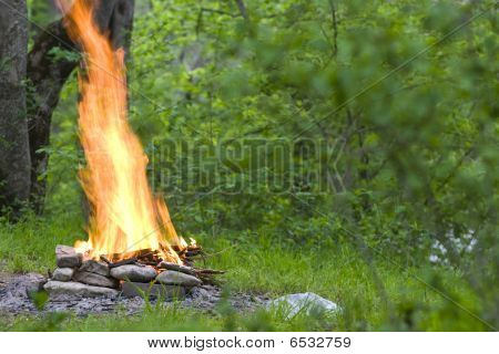 Forte fiamma di fuoco di accampamento