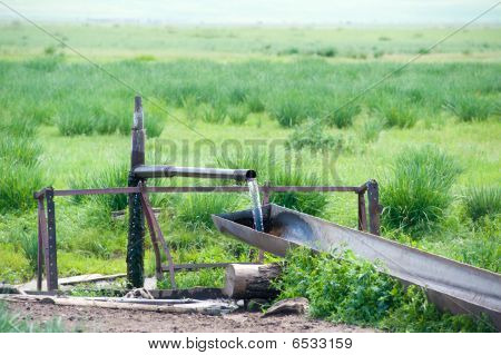 Watertrough