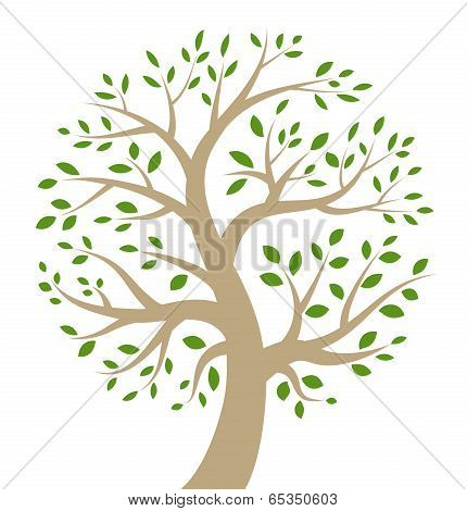 Stylized colorful tree icon