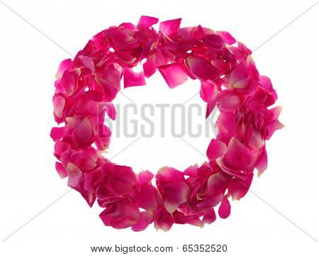 Rose Petals Frame On White Background