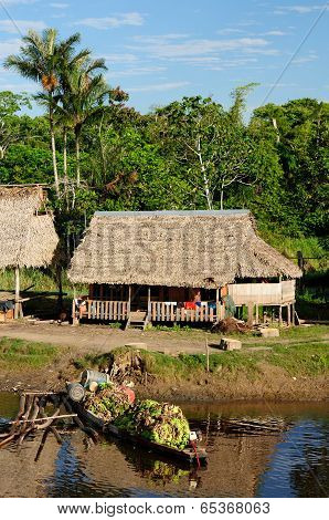 Amazon Indian Tribes In Brazil