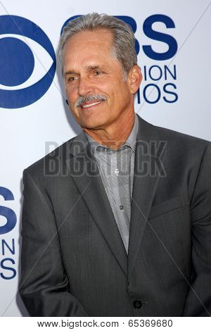 LOS ANGELES - MAY 19:  Gregory Harrison at the CBS Summer Soiree at London Hotel on May 19, 2014 in West Hollywood, CA