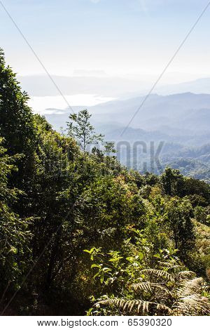 Sea Of Mist With Doi Luang Chiang Dao, View Form Doi Dam In Wianghaeng Chiangmai Thailand