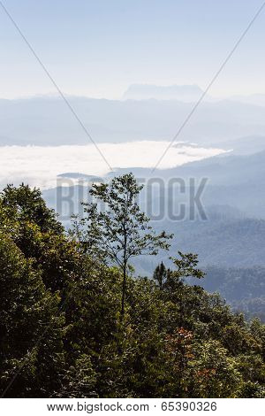 Sea Of Mist With Doi Luang Chiang Dao, View Form Doi Dam In Wianghaeng Chiangmai Thailand