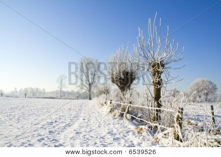 Paysages d'hiver