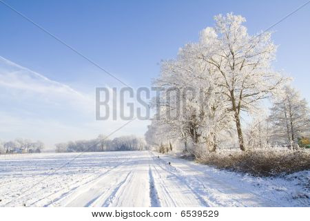 Hiver