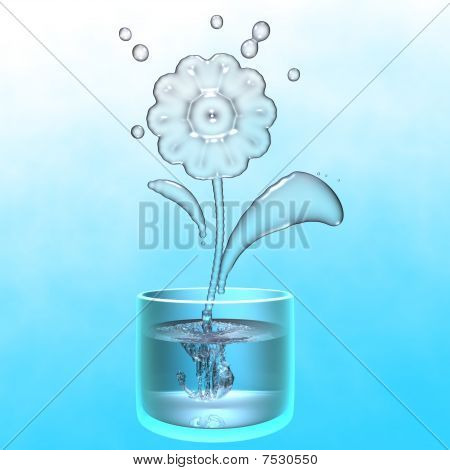 Flores com raiz de água