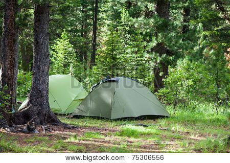 Greent Tourist Tents In Forest At Campsite