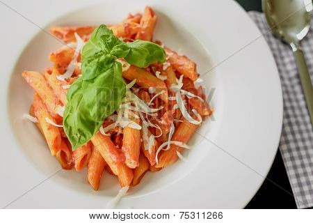 Plate Of Penne Pasta With Arrabiata Sauce