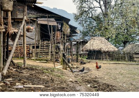 Yard In India