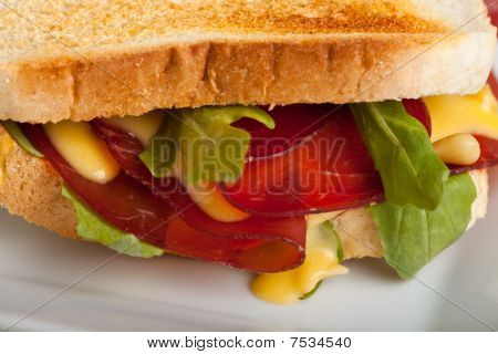 Buendner