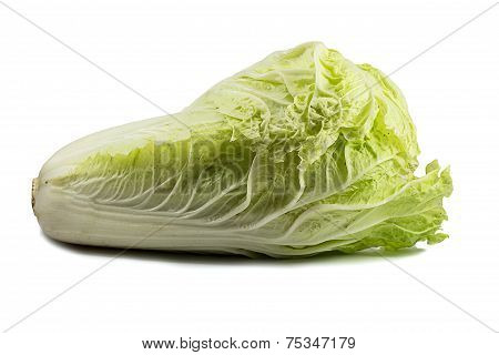 Fresh Chinese Cabbage On A White Background