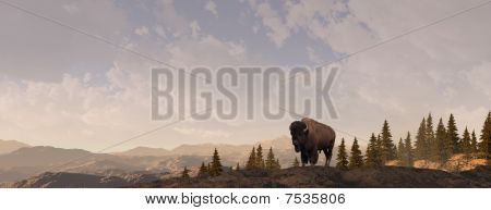 Montagna Bison