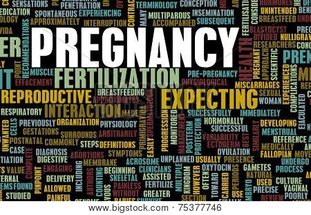 Pregnancy Concept Preparation of an Expecting Parent
