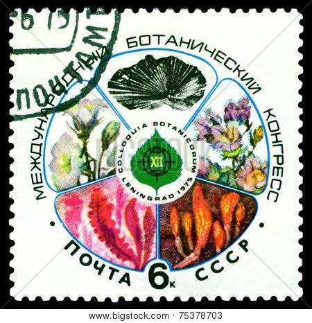 Vintage Postage Stamp. International Botanikal Congress. Leningrad.