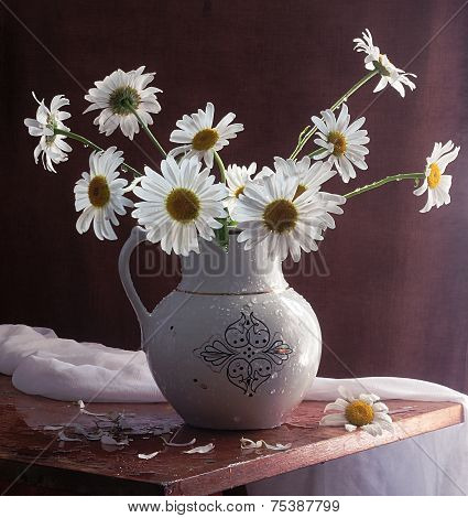 Still-life with a bouquet from gentle garden camomiles