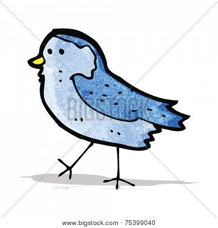 bluebird