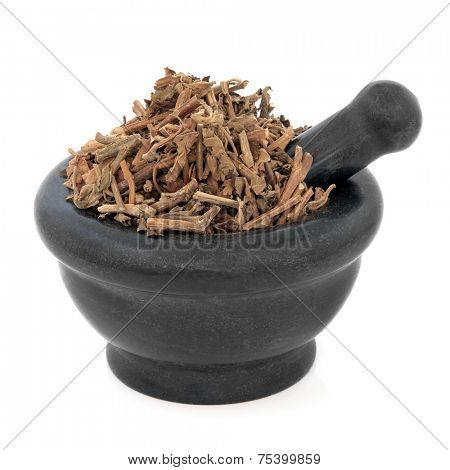 Korean mint used in chinese herbal medicine in a marble mortar with pestle over white background. Huo Xiang.
