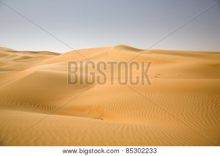 Sand dunes, weaves of dust in a beautiful desert