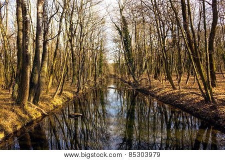 Danube floodplain lake