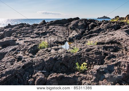 Sicilian Lava Rock