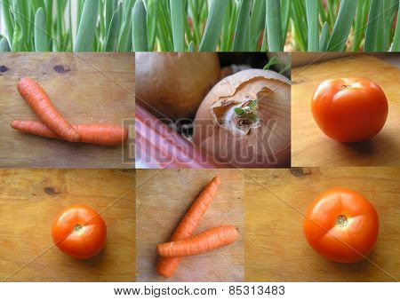 Vegetables.