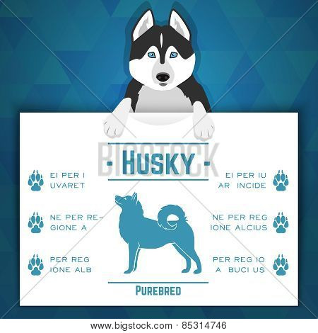 Husky dog banner