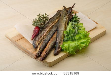 Lamprey