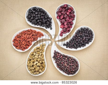 dried superfruit collection - goji berry, white mulberry, blueberry, aronia, elderberry and cheery in teardrop shaped bowls