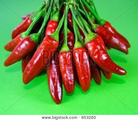 Paprika