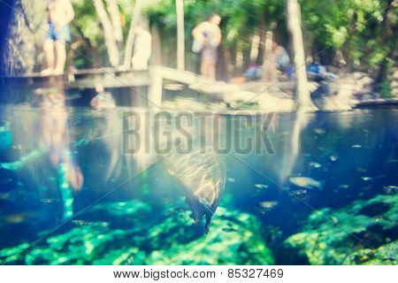  Cenote, Mexico