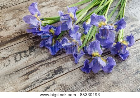 Bouquet Blueflag Or Iris Flower On Wooden Background
