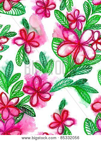 plumeria / frangipani flowers