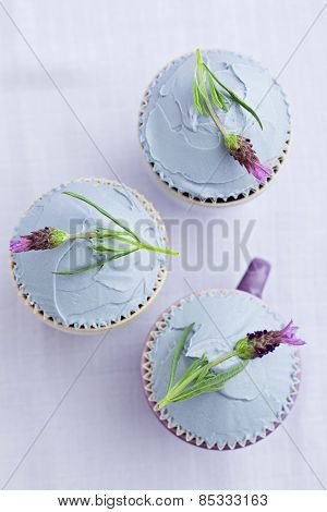 Three lavender cupcakes