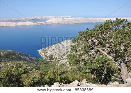 Limestone Island In Croatia