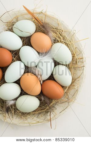 Eggs In A Nest