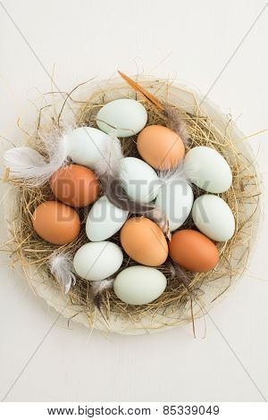 Eggs In A Nest