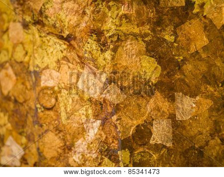Gold leaves background texture